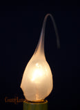 5W Light Bulbs